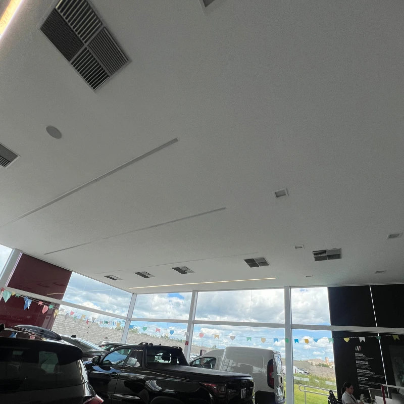 Sem nome (800 x 800 px) (19)