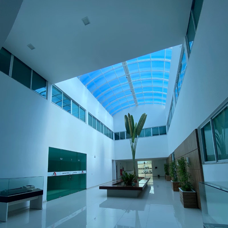 Sem nome (800 x 800 px) (6)